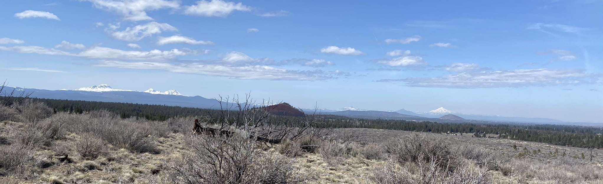 Horse Butte Loop 340 Reviews, Map Oregon AllTrails