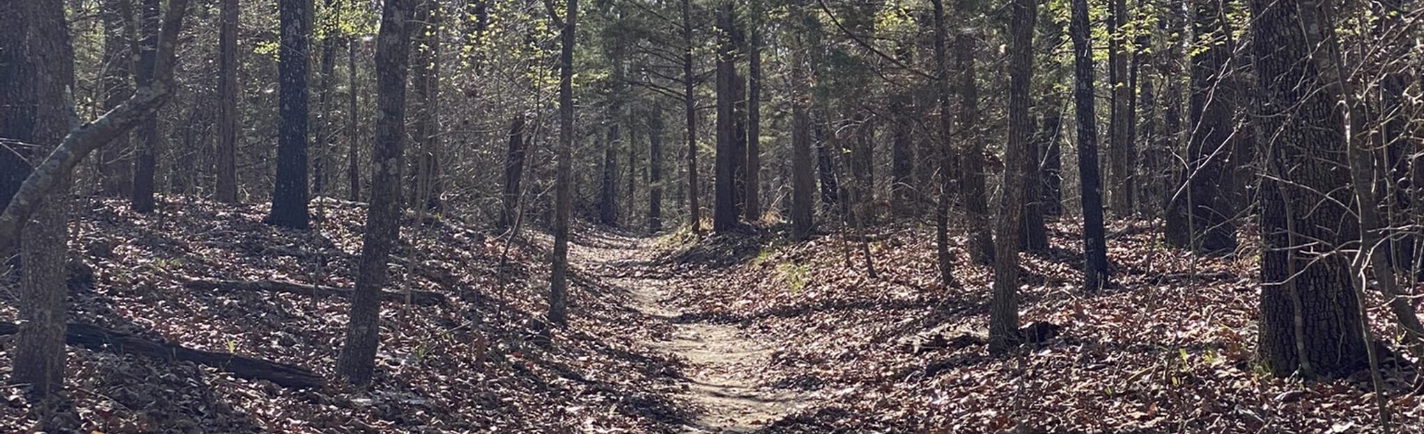 Lake Tawakoni White Deer Trail, Texas 28 Reviews, Map AllTrails