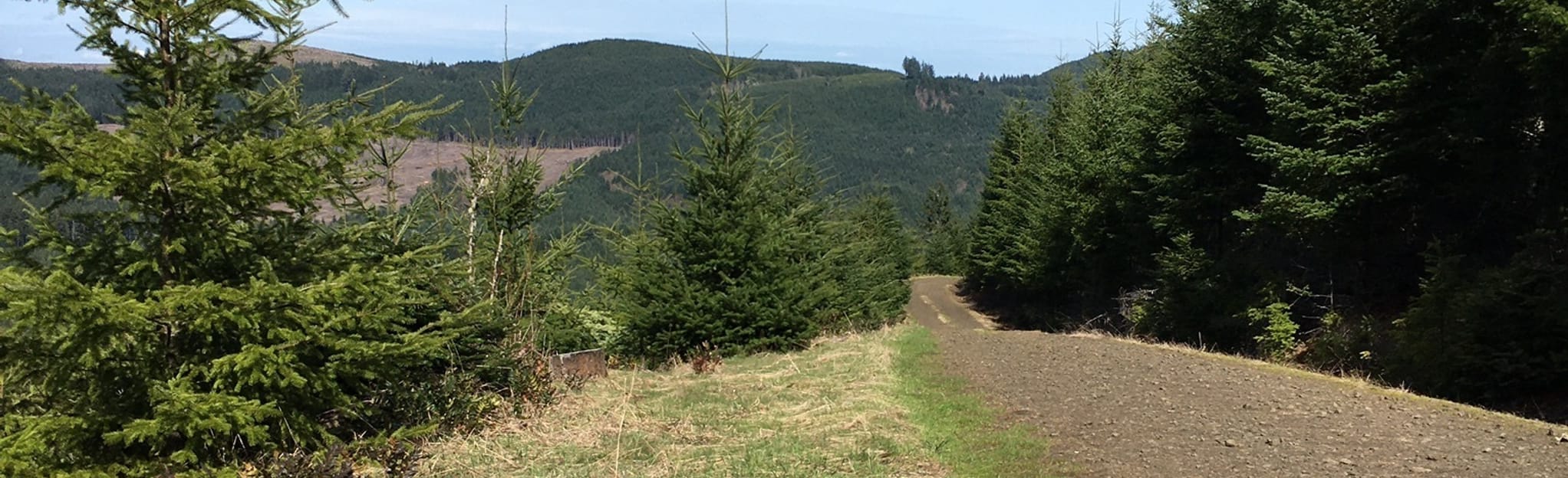 Slide Mountain and Baker Creek, Oregon 19 Reviews, Map AllTrails