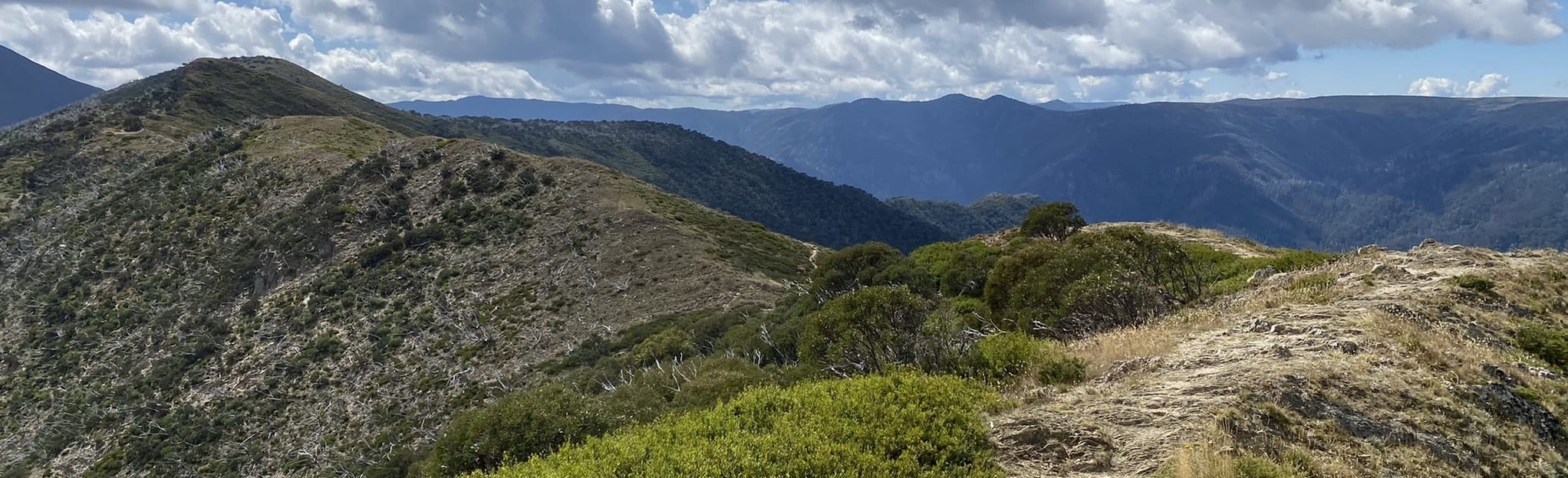 Mount Feathertop and Bon Accord Hill Loop 34 Reviews, Map Victoria