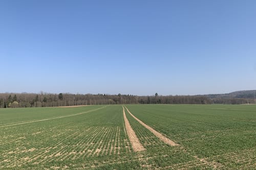 Von Böblingen über Altdorf und Holzgerlingen
