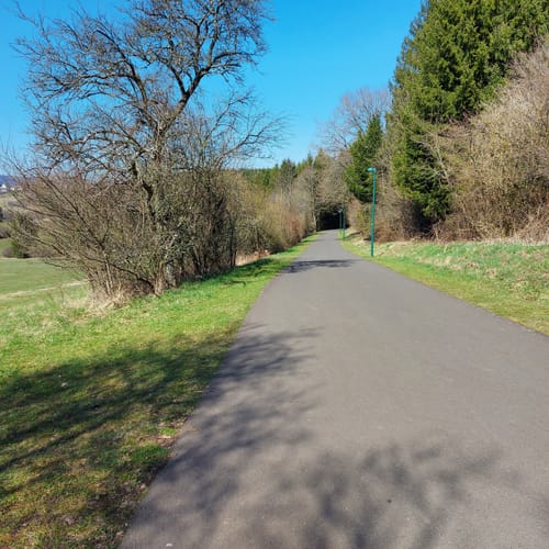 Um den Wendelinuspark