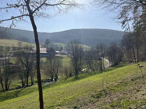 Unterer Tal-Weg (Rundwanderweg Gönz 2)