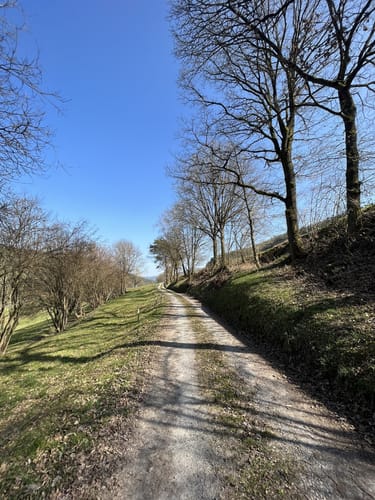 Unterer Tal-Weg (Rundwanderweg Gönz 2)