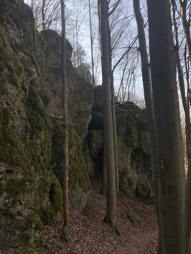 Norissteig