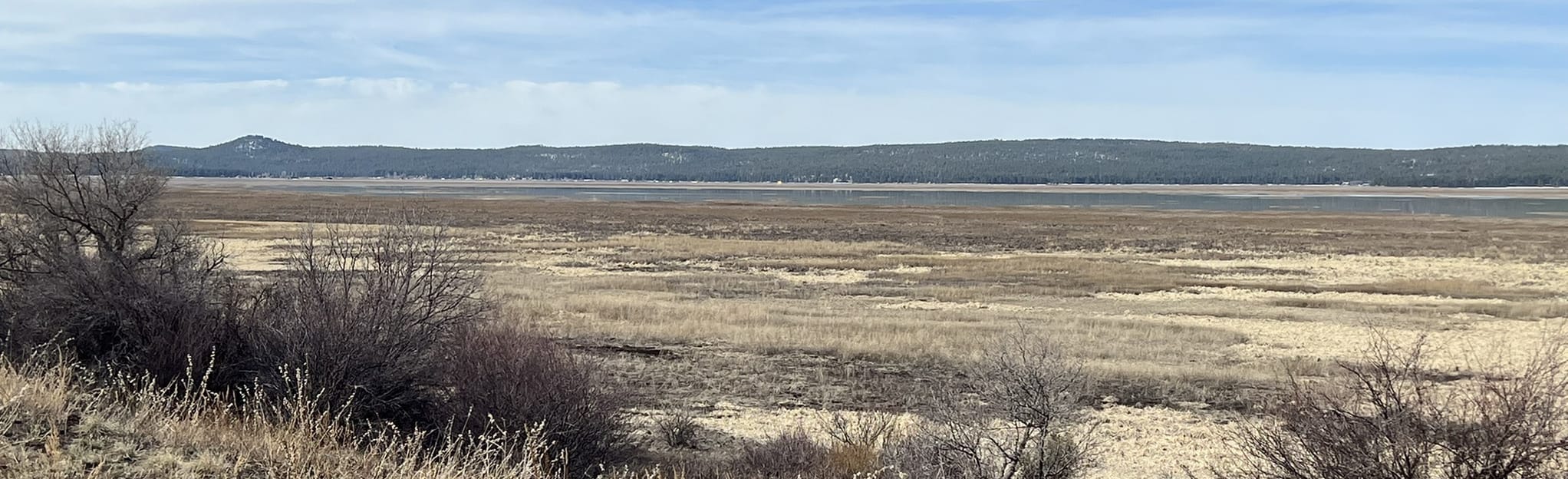 Mormon Lake 10 Reviews, Map Arizona AllTrails