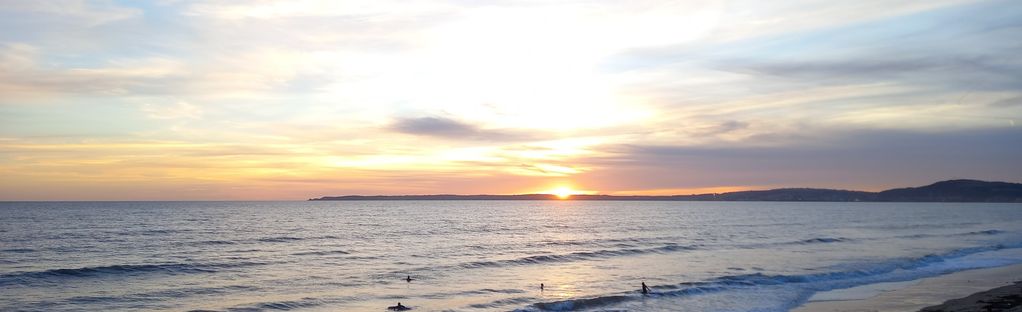 can you take dogs on aberavon beach