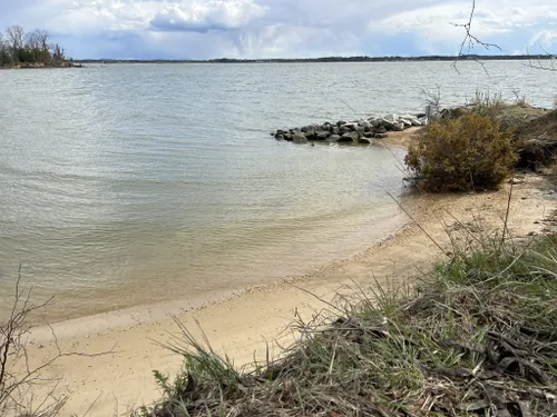 Best Hikes and Trails in Bill Burton Fishing Pier State Park