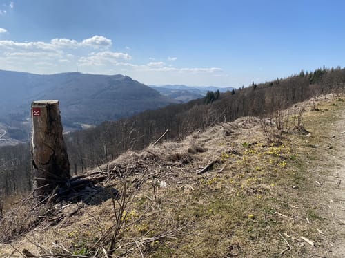 Rothaarsteig Etappe 1: Brilon - Willingen