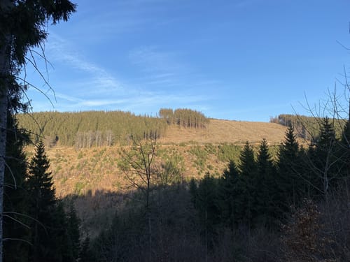 Rothaarsteig Etappe 1: Brilon - Willingen