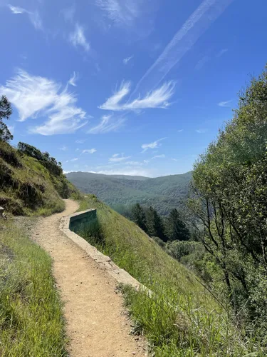 Best hikes 2025 in muir woods