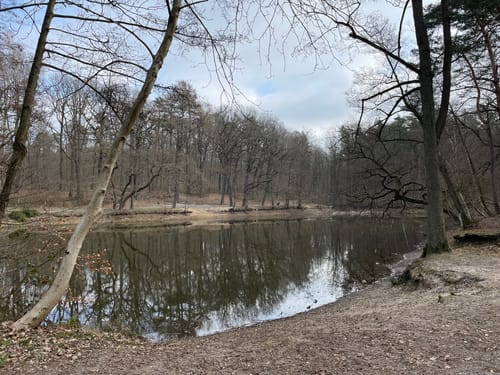 darf mn auf den lappwald rundwanderwegen auch fahrrad fahren