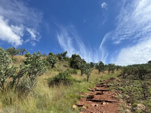 10 Must-Try Hiking Trails in Gauteng - Gauteng News