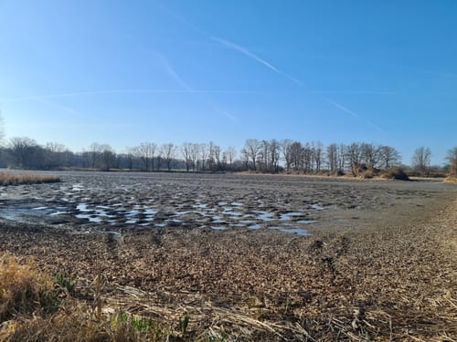 Schloss Tiefenau und Tiefenauer Teiche