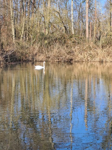 Schloss Tiefenau und Tiefenauer Teiche