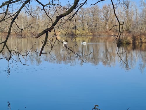 Schloss Tiefenau und Tiefenauer Teiche