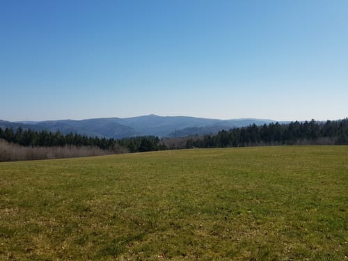 Eulenweg (Adenau)