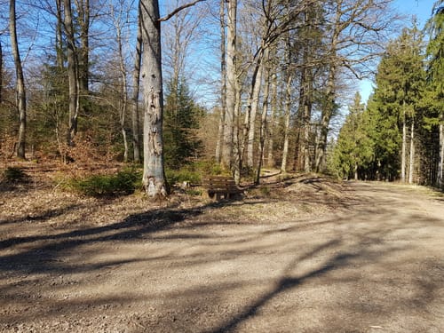 Eulenweg (Adenau)