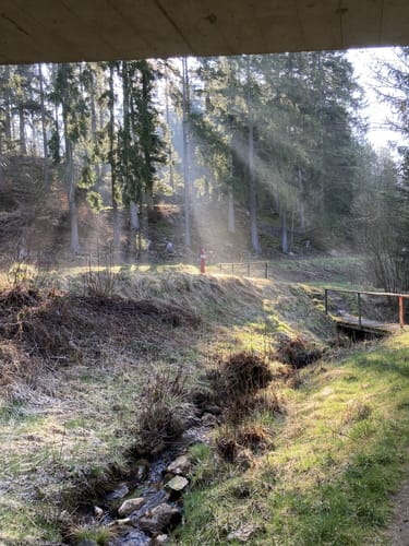 HeimatSpur Pfad der Artenvielfalt