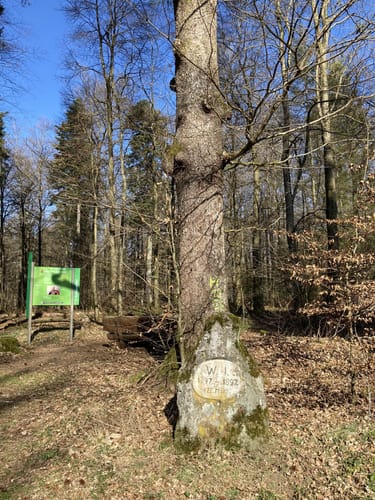 HeimatSpur Pfad der Artenvielfalt
