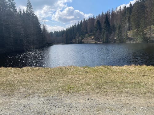 Am Hüttenteich Altenau
