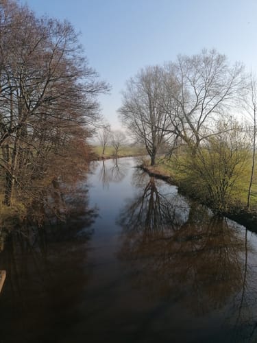Grüner Ring - Kunst und Kranich
