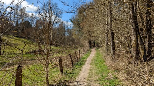 Rundwanderweg A1 - Schierenberg und Humberg