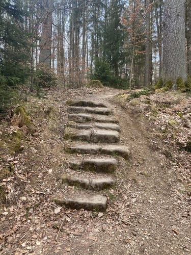 Donndorf - Schlosspark Fantaisie Runde