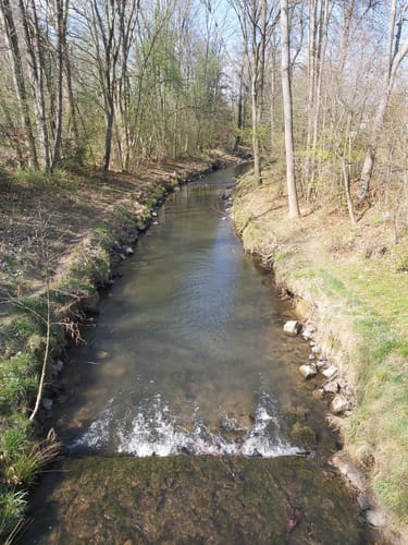 Von Hennef nach Siegburg entlang der Sieg