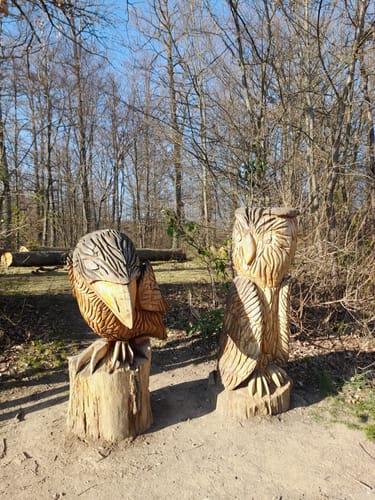 Holzgerlinger Wald