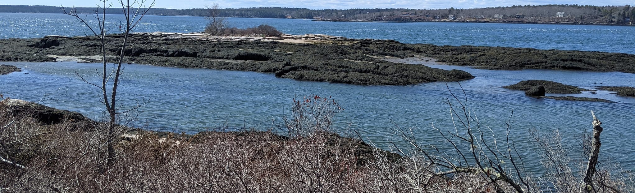 Porters Preserve White Loop Trail 324 Reviews, Map Maine AllTrails