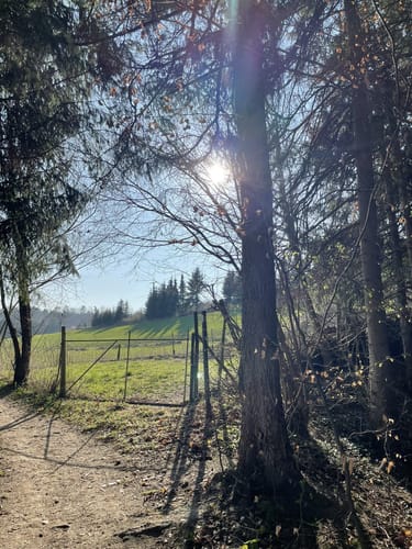 Wanderweg 9 – Teuringer Bächlespfad