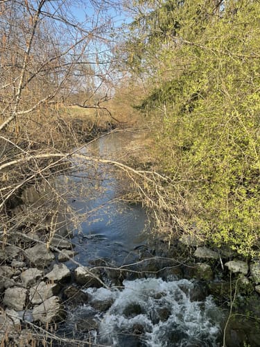 Wanderweg 9 – Teuringer Bächlespfad
