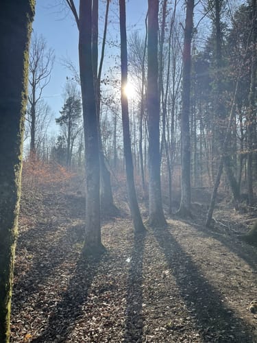 Wanderweg 9 – Teuringer Bächlespfad