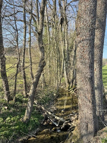 Wanderweg 9 – Teuringer Bächlespfad