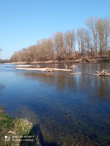 An der Isar von Landshut nach Ellermühle