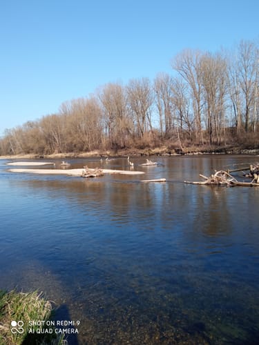 An der Isar von Landshut nach Ellermühle