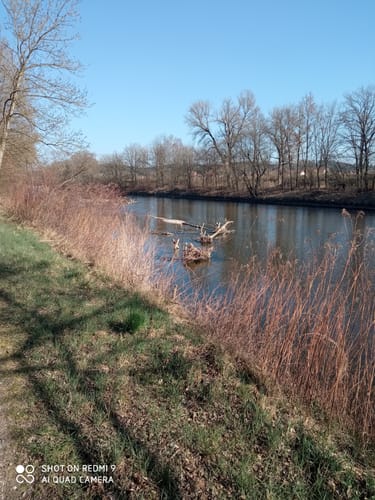 An der Isar von Landshut nach Ellermühle