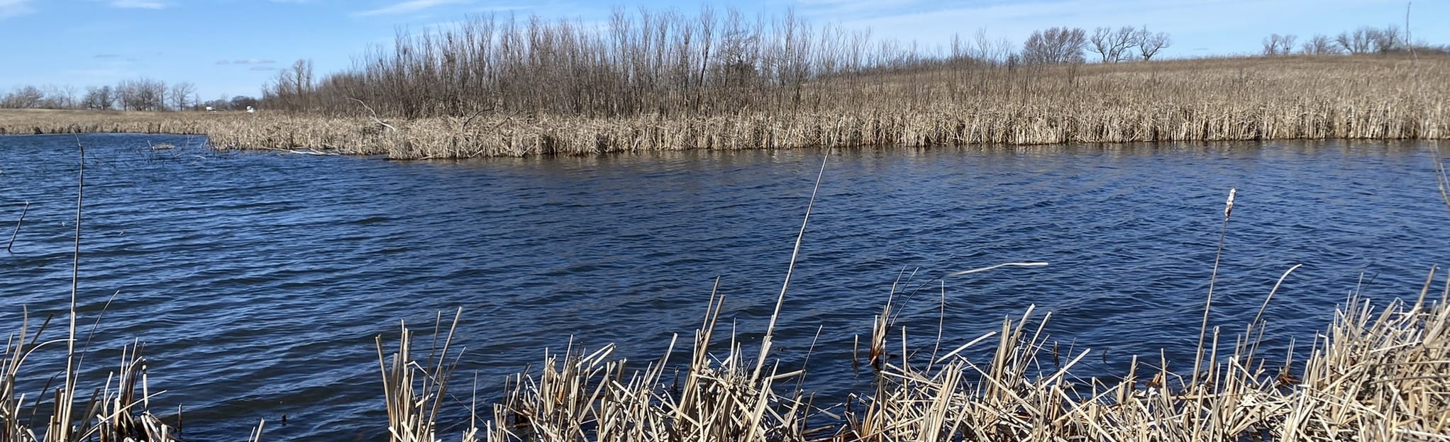 Linn Nature Park 41 Photos Wisconsin Randonnée AllTrails