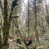 Hagg Lake Trail Section H, Oregon - 231 Reviews, Map | AllTrails