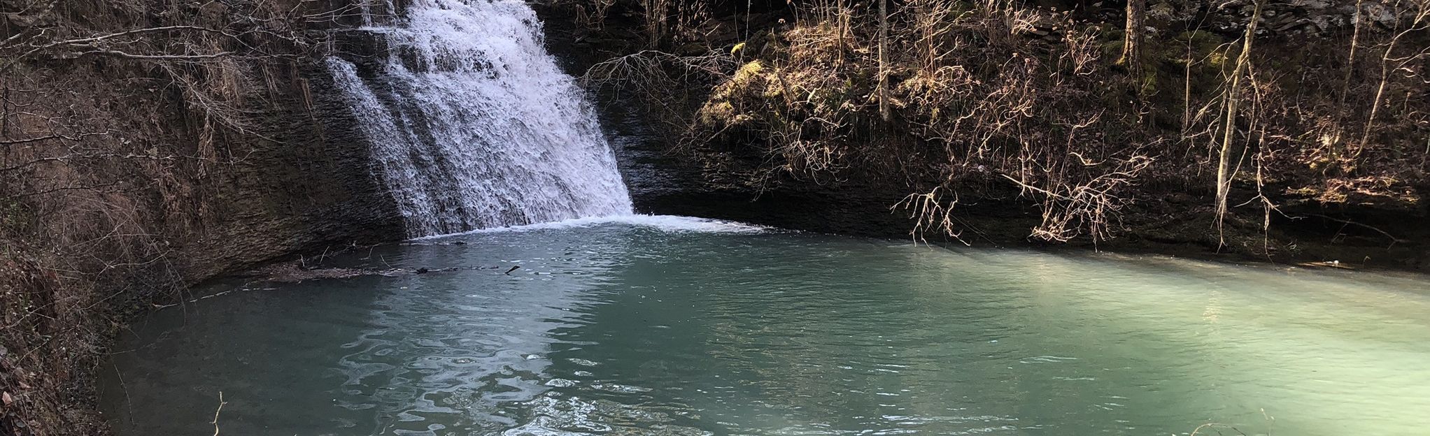 Moccasin Gap Trail System - Arkansas | AllTrails