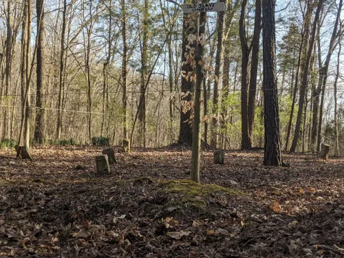 Best Waterfall Trails in Shawnee National Forest | AllTrails