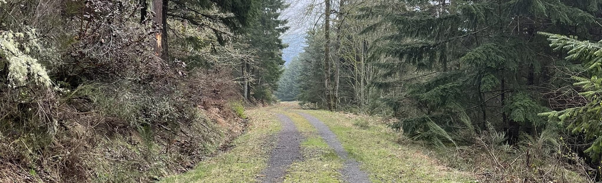 Mount Prevost from Drinkwater Road 798 foto's BritsColumbia, Canada