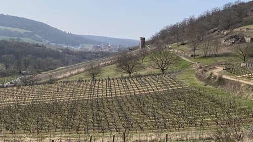 Heideblick (Hiwweltour)