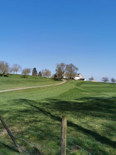 Schwalberstieg (Traumpfad)