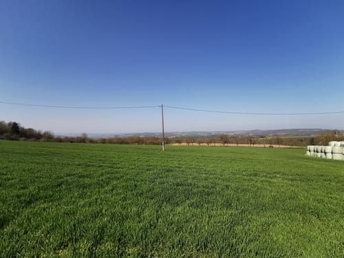 Schwalberstieg (Traumpfad)