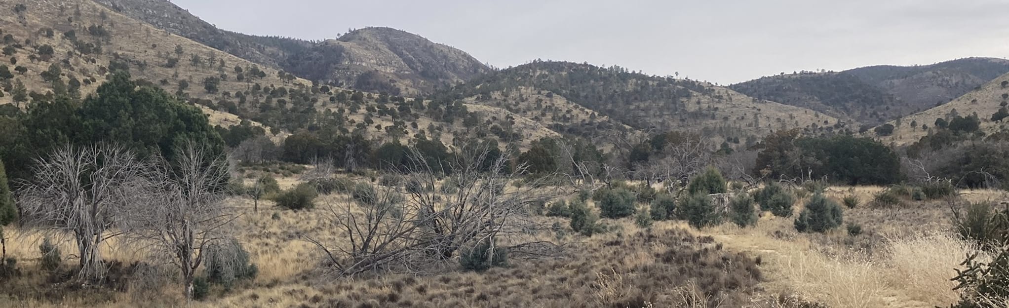 AllTrails - EyJidWNrZXQiOiJhc3NldHMuYWxsdHJhaWxzLmNvbSIsImtleSI6InVwbG9hZHMvcGhvdG8vaW1hZ2UvNDU3MzczNjAvMzM1ZmE4MGQ1MGFiMmYxYzA2M2EyZjYxNmMyMWIyNjUuanBnIiwiZWRpdHMiOnsidG9Gb3JtYXQiOiJqcGVnIiwicmVzaXplIjp7IndpZHRoIjoyMDQ0LCJoZWlnaHQiOjYyNCwiZml0IjoiY292ZXIifSwicm90YXRlIjpudWxsLCJqcGVnIjp7InRyZWxsaXNRdWFudGlzYXRpb24iOnRydWUsIm92ZXJzaG9vdERlcmluZ2luZyI6dHJ1ZSwib3B0aW1pc2VTY2FucyI6dHJ1ZSwicXVhbnRpc2F0aW9uVGFibGUiOjN9fX0=