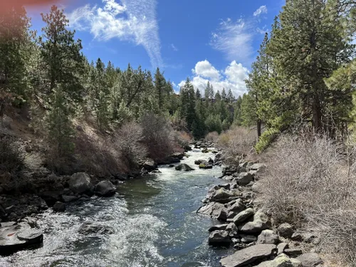 oregon es un fondo de pantalla más rápido