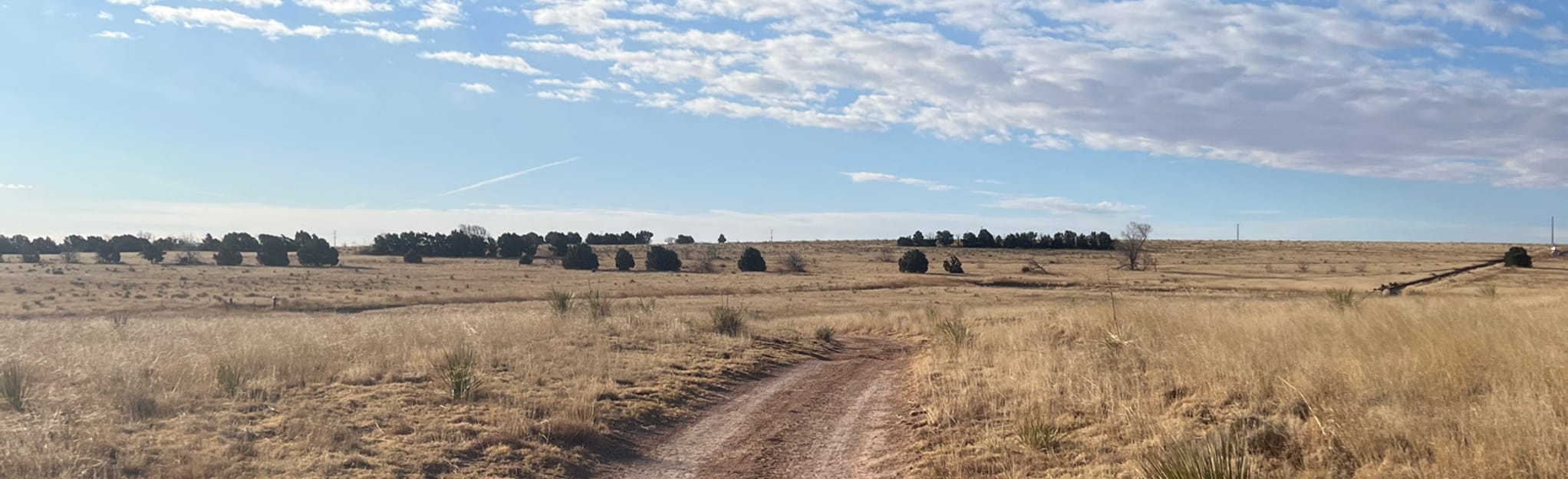 Ned Houk Short Loop, New Mexico 34 Reviews, Map AllTrails