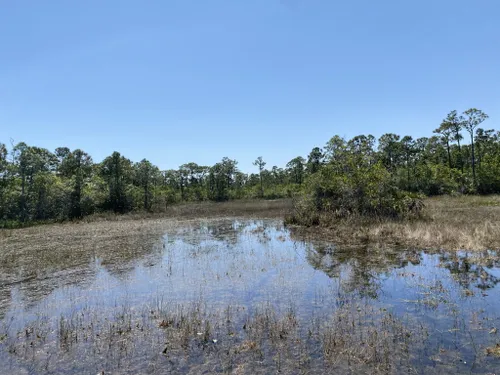 10 Best Trails and Hikes in Port St. Lucie | AllTrails